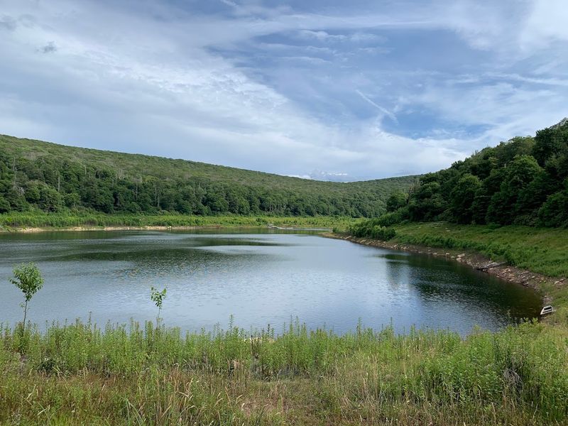 Virginia's Only Natural Mountain Lake and Why It's So Rare