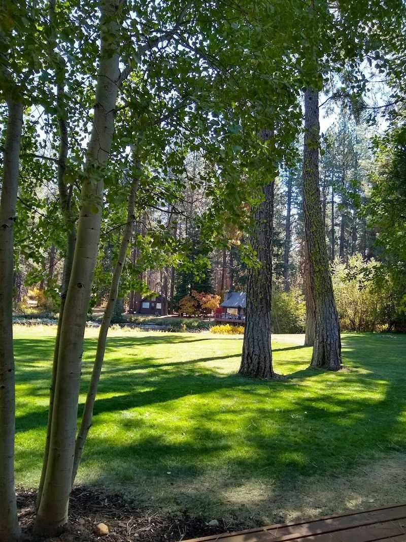 A Day Trip to Suttle Lake, Five Miles Out