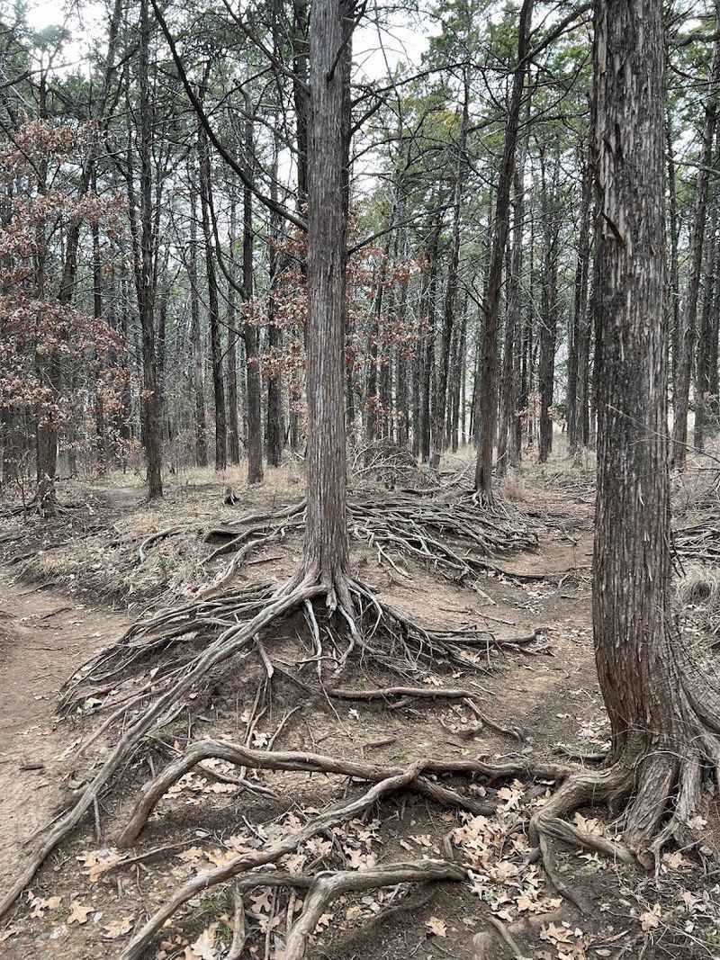 Practical Things Worth Knowing Before You Go