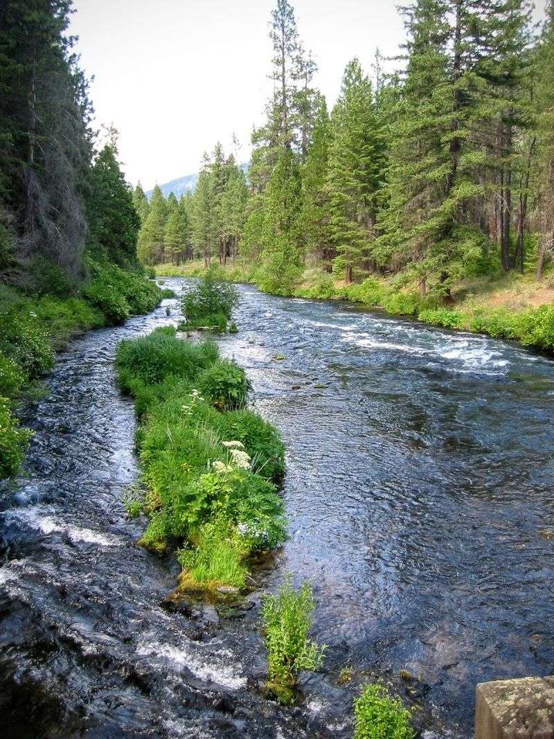 Exploring the Trails Along the River's Edge
