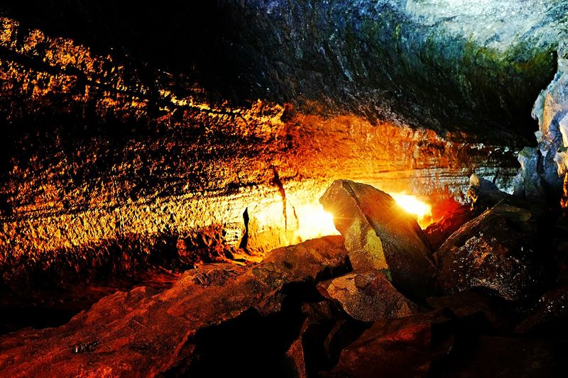 The Wildlife and Geology That Hides in Plain Sight