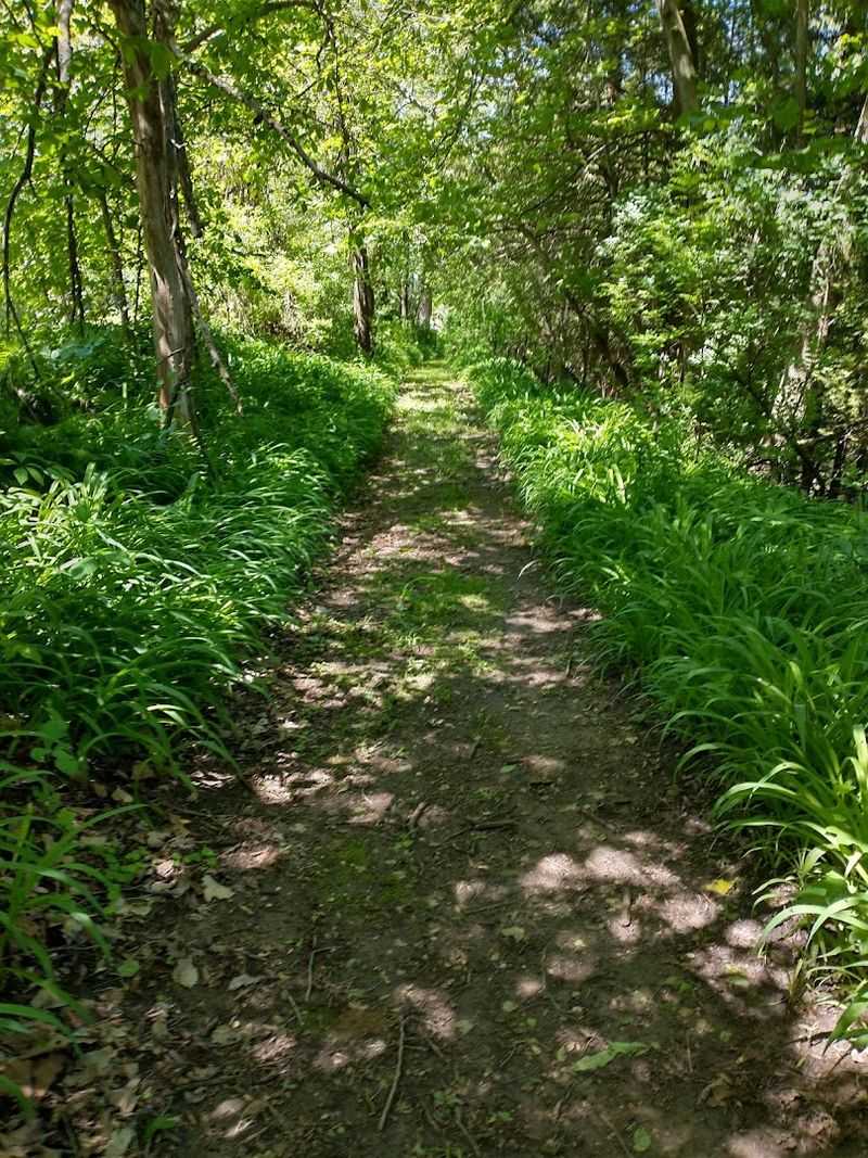 Short Bluff Walks That Deliver Fast Payoff