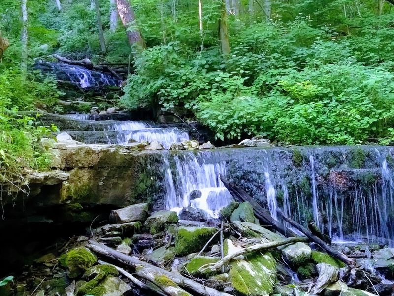 Wetlands, Wildlife, and Biodiversity Worth Slowing Down For