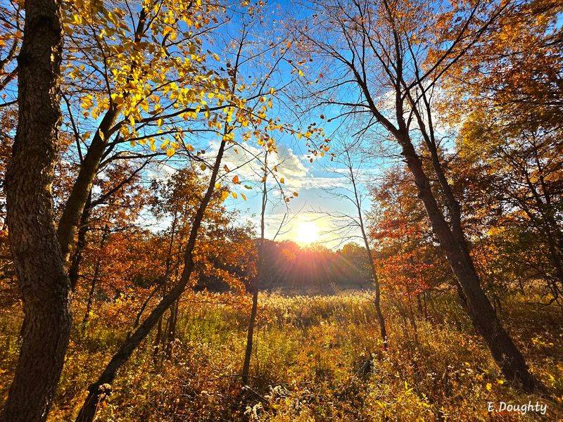 Unique Geological Features That Reveal Millions of Years of History