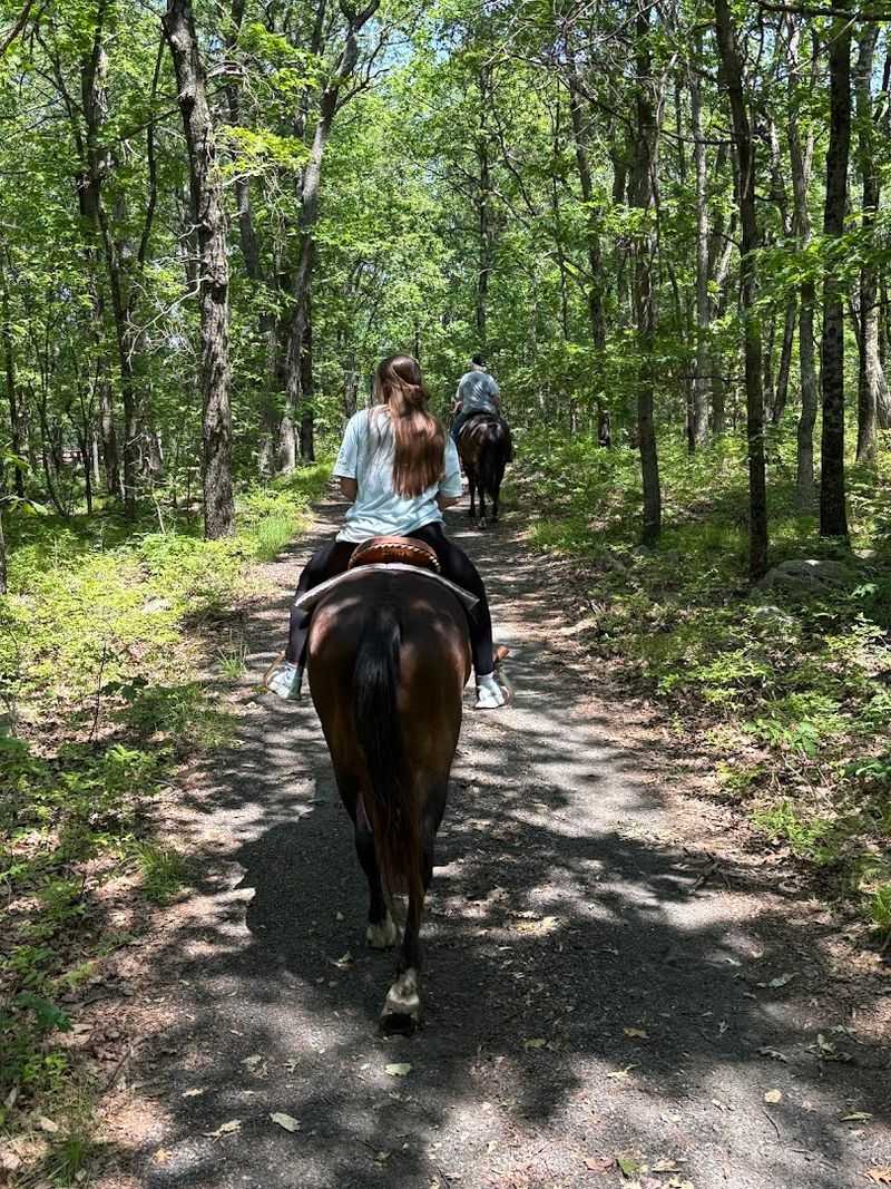 Guided Trail Rides Designed for All Skill Levels