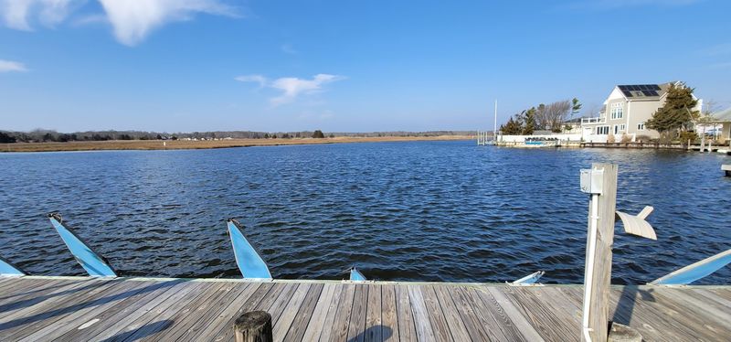 Waterfront Activities That Work Up a Real Appetite