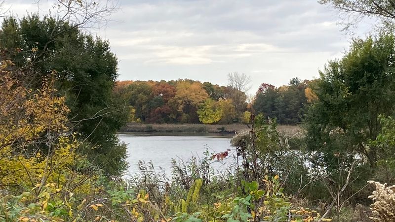 An 11-Mile Distance That Rewards Committed Hikers