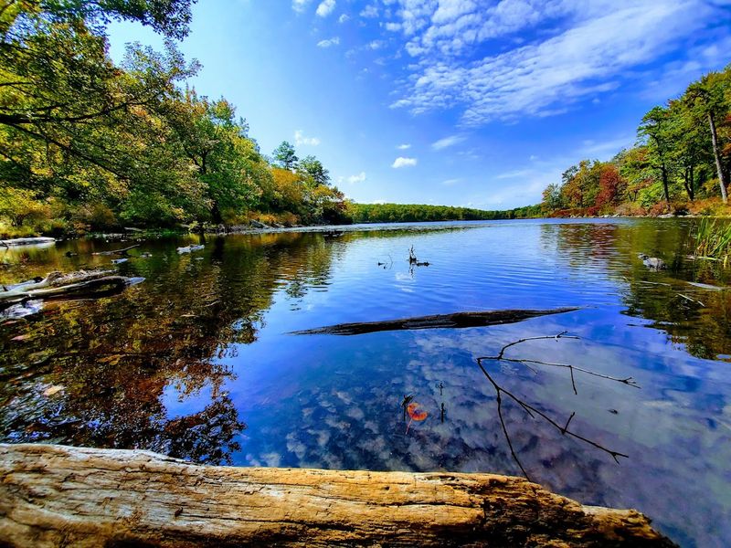 Worthington State Forest