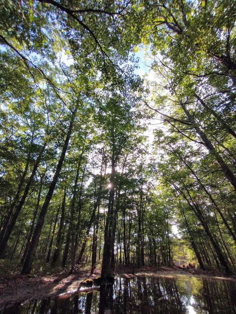 The Silence Itself Is the Main Attraction