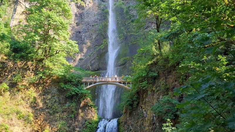 The Benson Footbridge: Worth the Wait or Overhyped?