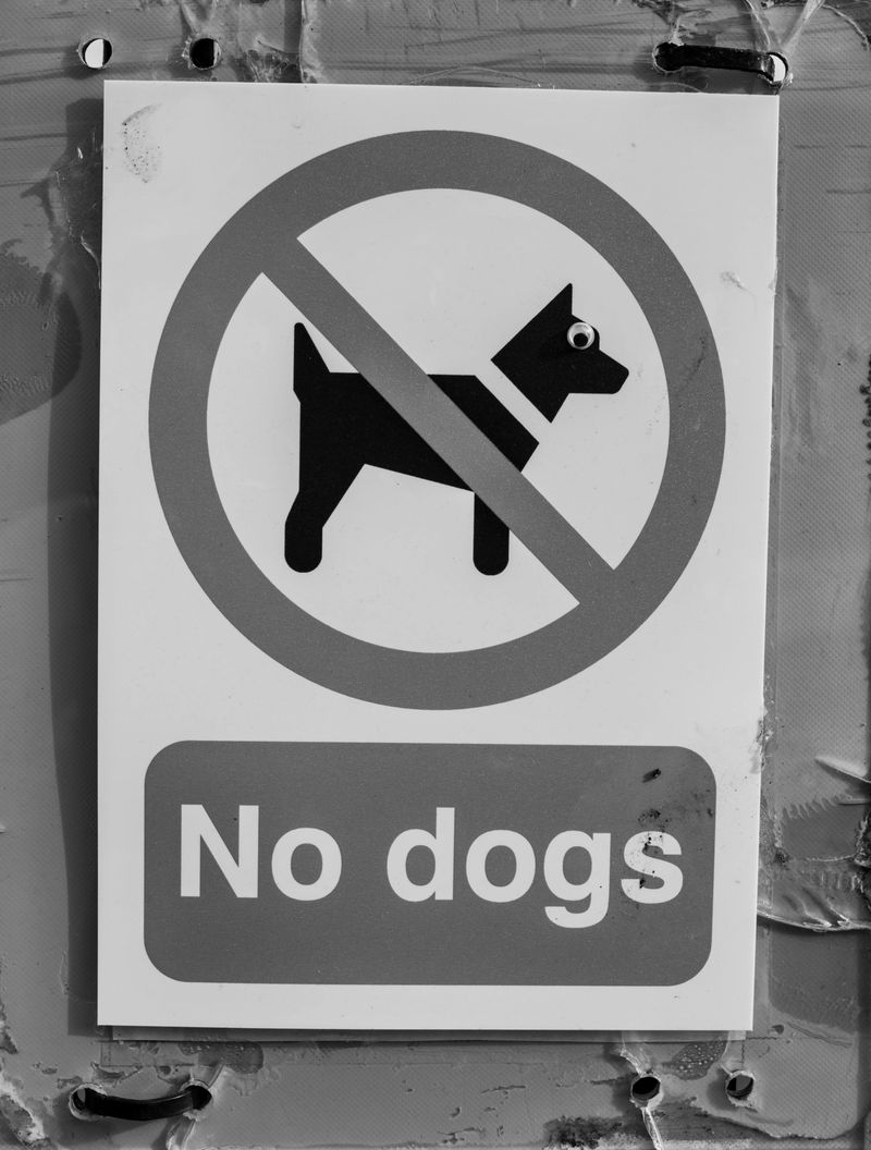 The Law Name And Where It Lives In The Code