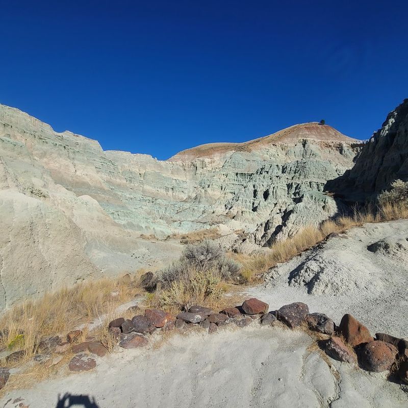 The Colors That Stop You Cold