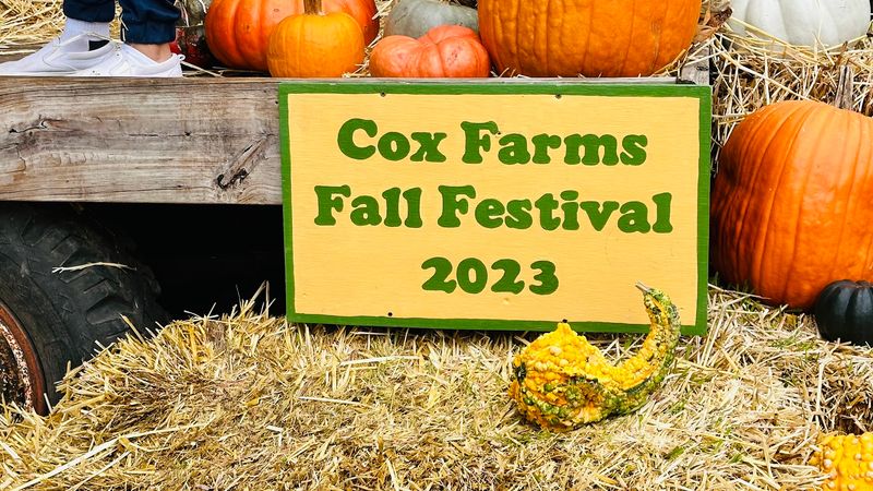 Cox Farms: The Perfect Host for a Foam Monument