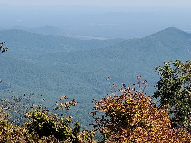 Best Times to Hike Bluff Mountain