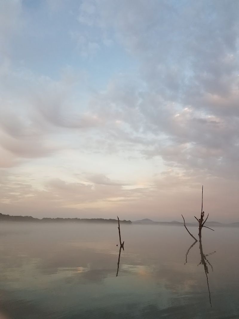 The Brief Comeback That Gave People Hope and Then Faded