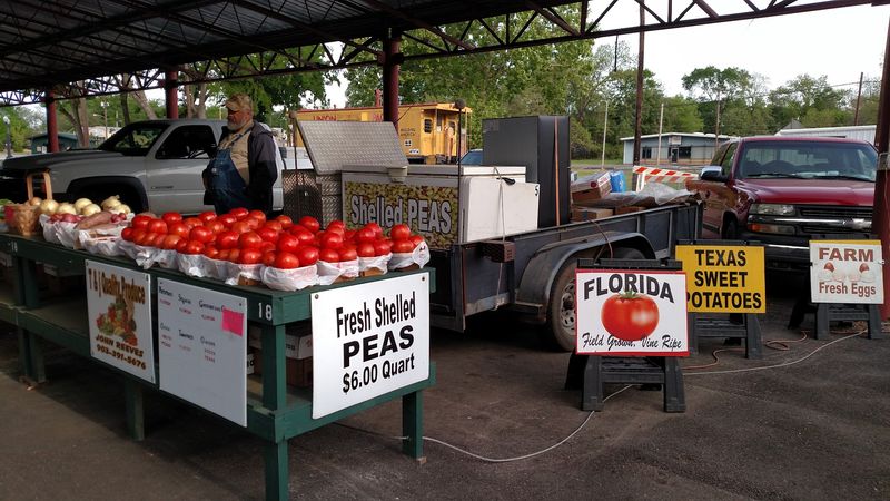 Final Verdict: Is the Palestine Farmers Market Worth Your Saturday Morning?