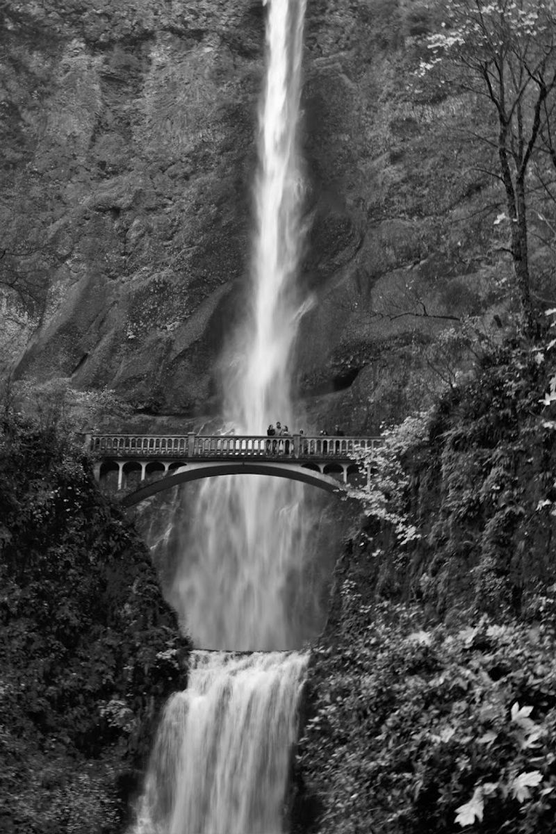 The Columbia River Gorge Context That Changes Everything