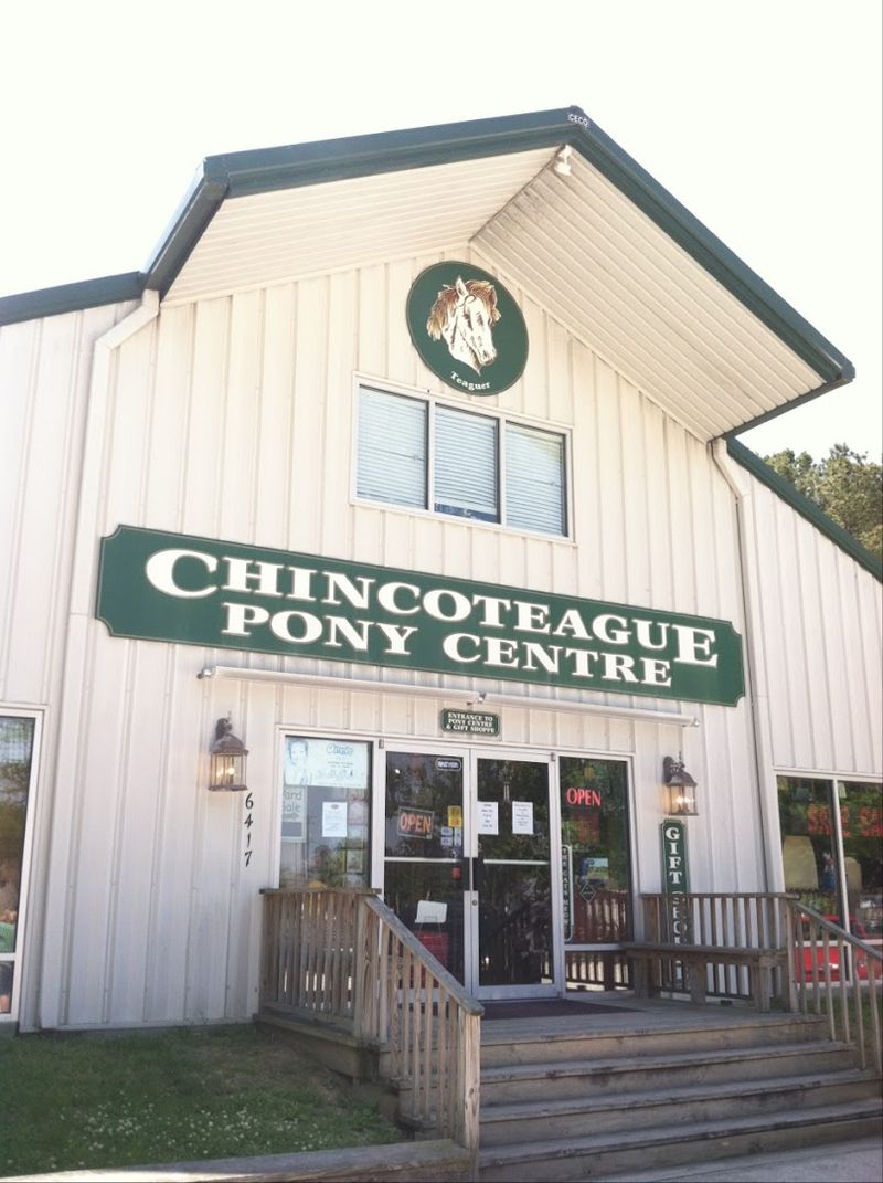 Plan Your Visit to Chincoteague Pony Centre
