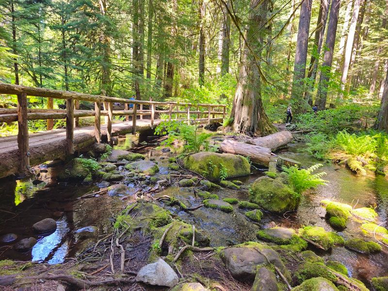 The Hike In Is Half The Magic