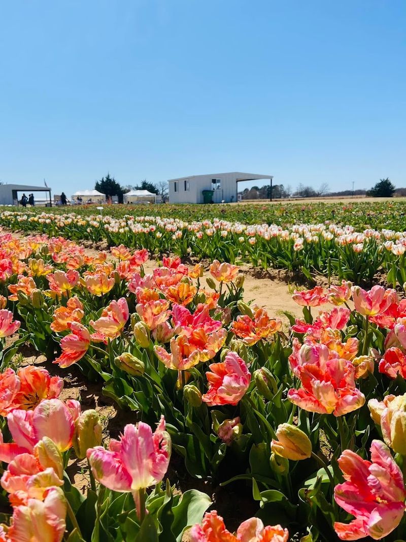 Making the Most of a Weekday Visit