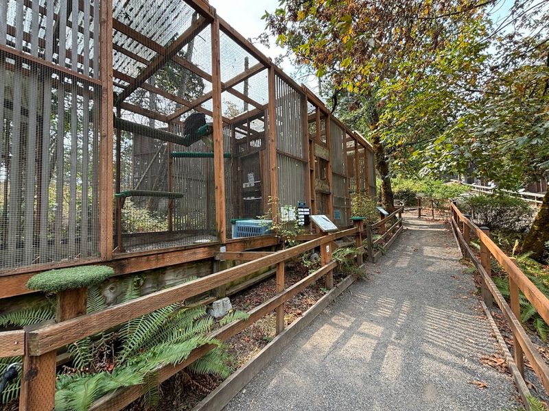 Practical Tips for Getting the Most Out of Your Visit