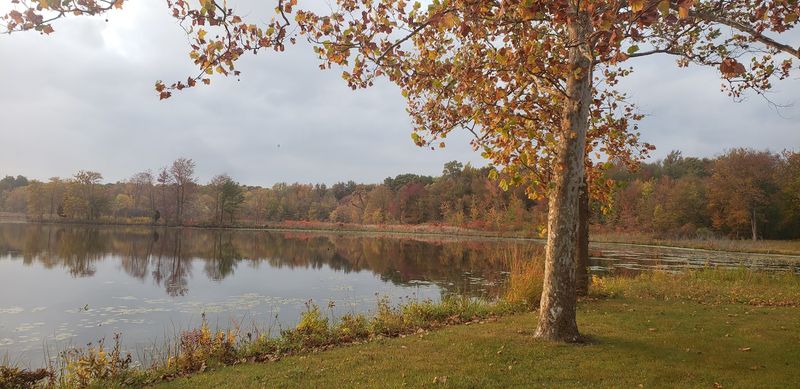 Wildlife Watching Across Three Lakes and Open Water
