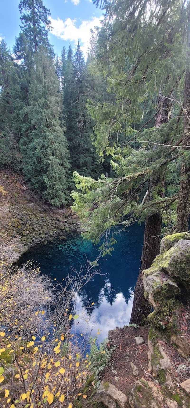 Can Tamolitch Blue Pool Be Saved
