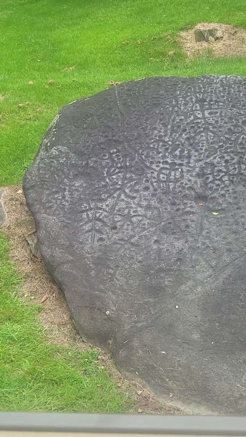 Pack Your Curiosity And Go See It For Yourself