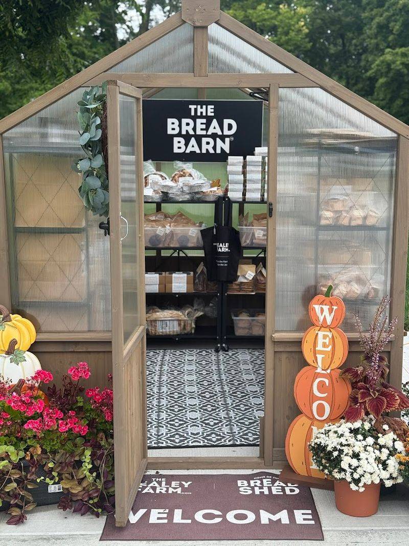 Pricing, Planning, and What You Should Know Before Your First Visit