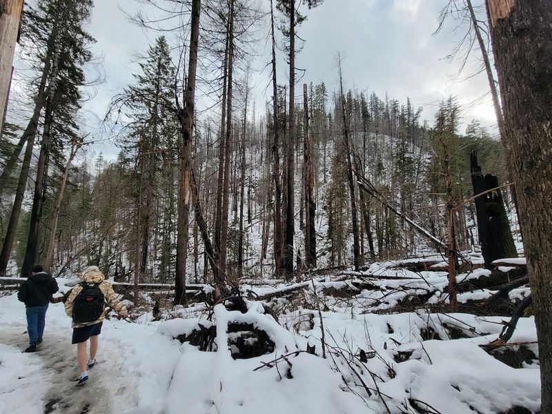 The Best Time To Visit