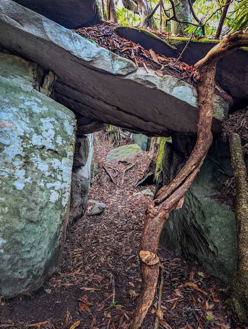 Why The Great Channels Belong on Every Virginia Bucket List