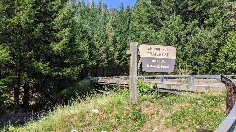 Getting To Toketee Falls From Highway 138