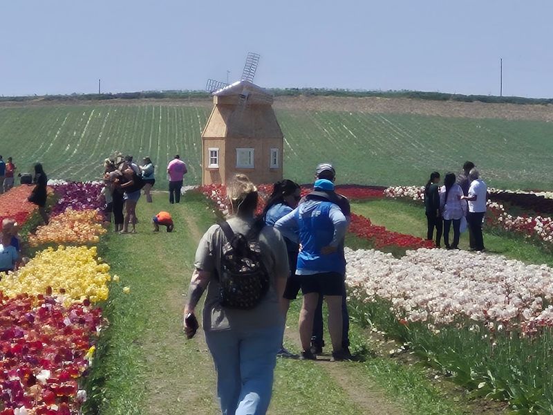 Timing Tricks For Softer Light And Fewer Crowds