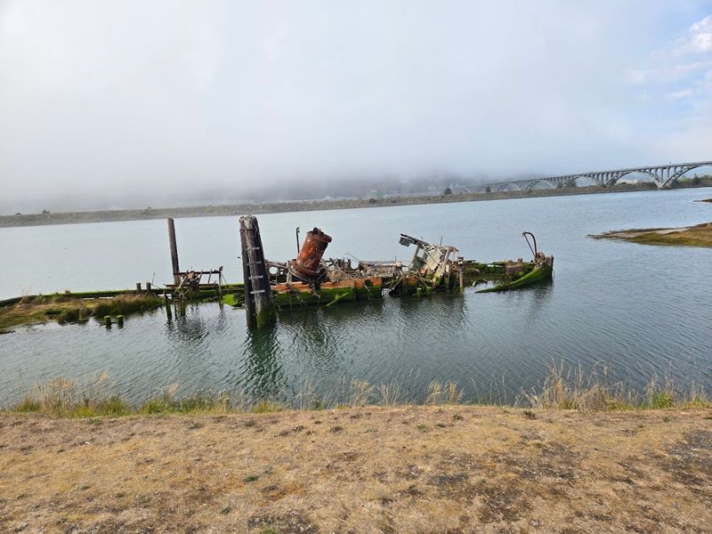 The Foggy Atmosphere That Makes It Magical