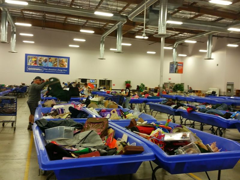 The Best Times to Visit for Maximum Finds