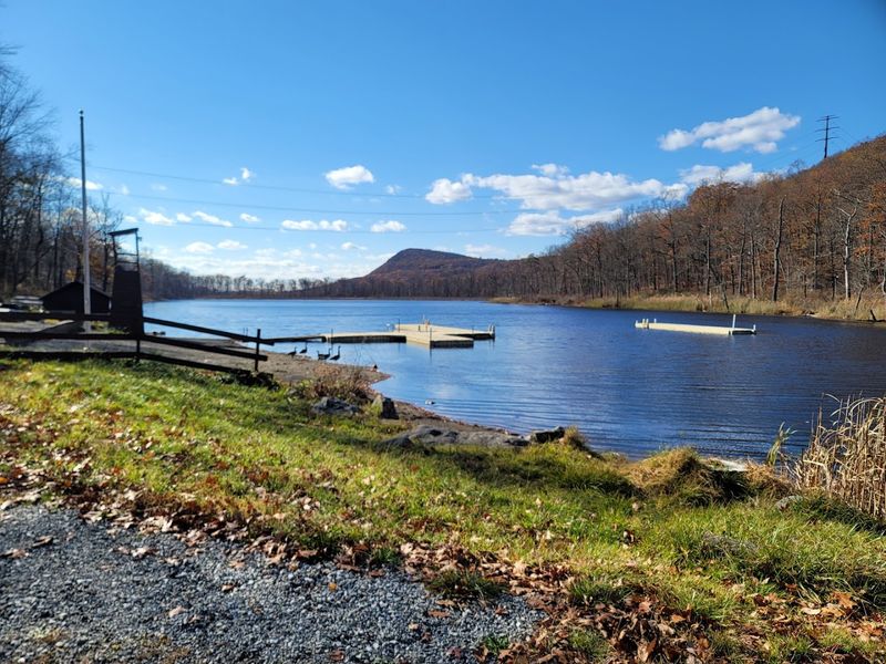 The Lakefront: Where the Film Came Alive