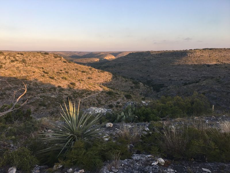 Ancient Rock Art Hidden in the Hills
