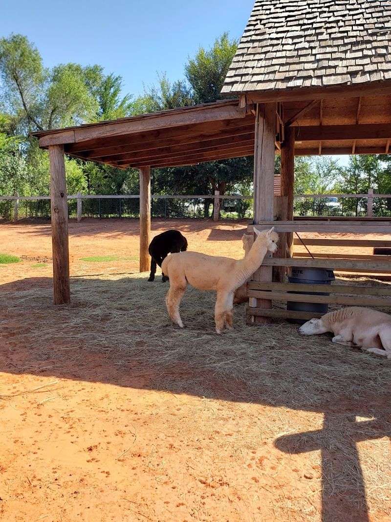 Practical Tips for Planning Your Visit