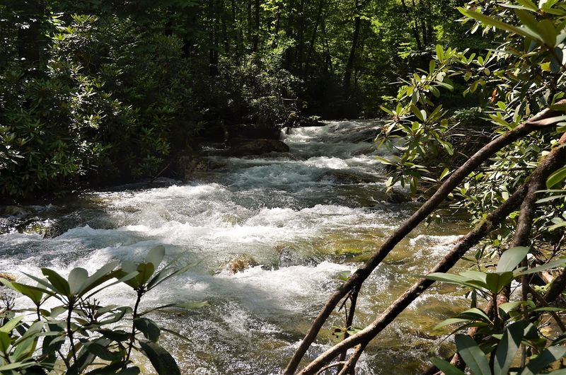 The Creek Crossings That Make It an Adventure