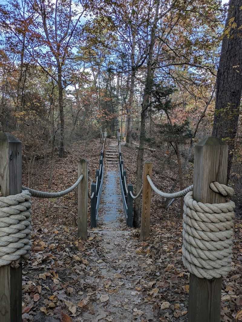 Planning Your Visit Like a Pro