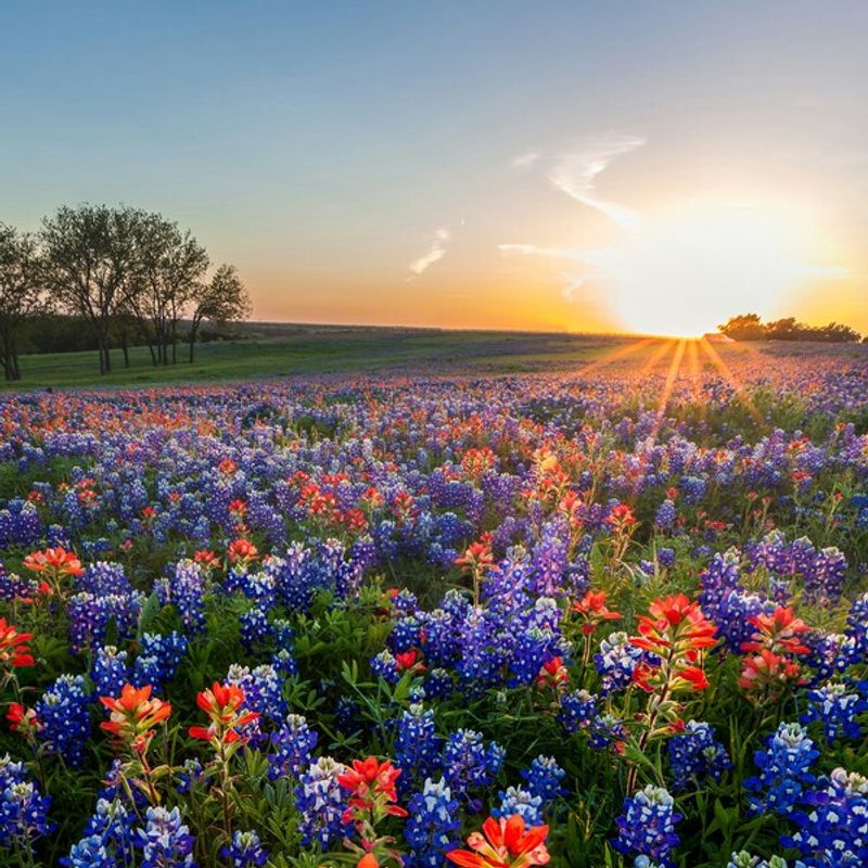 Why Ennis Stays With You Long After You Leave