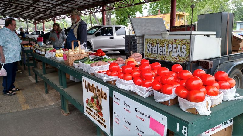 The Heart of the Market: Local Farmers and Their Fresh Produce
