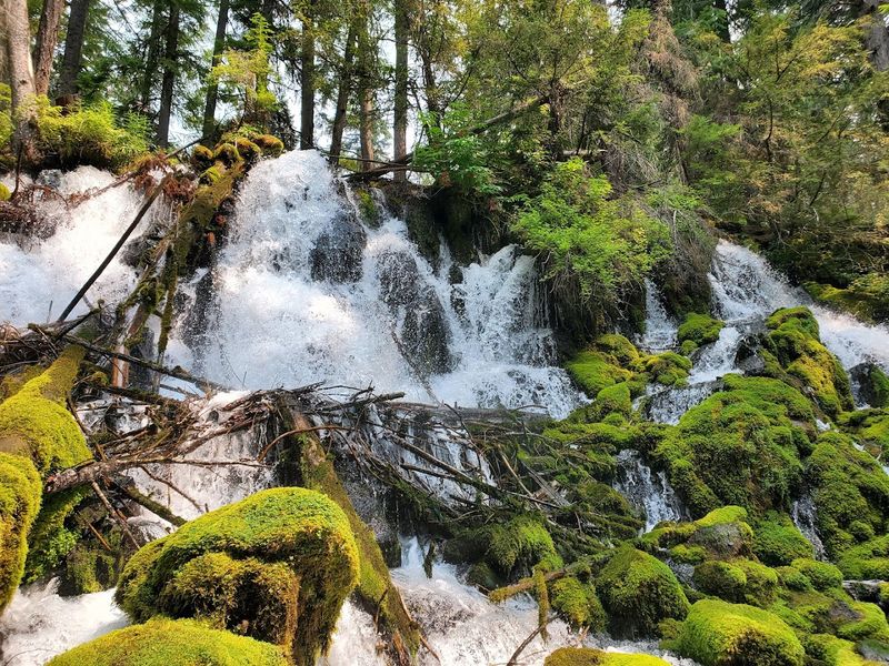 How Clearwater Falls Compares to Nearby Waterfalls