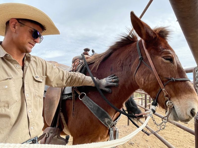 Why Lajitas Stables Keeps Drawing Riders Back