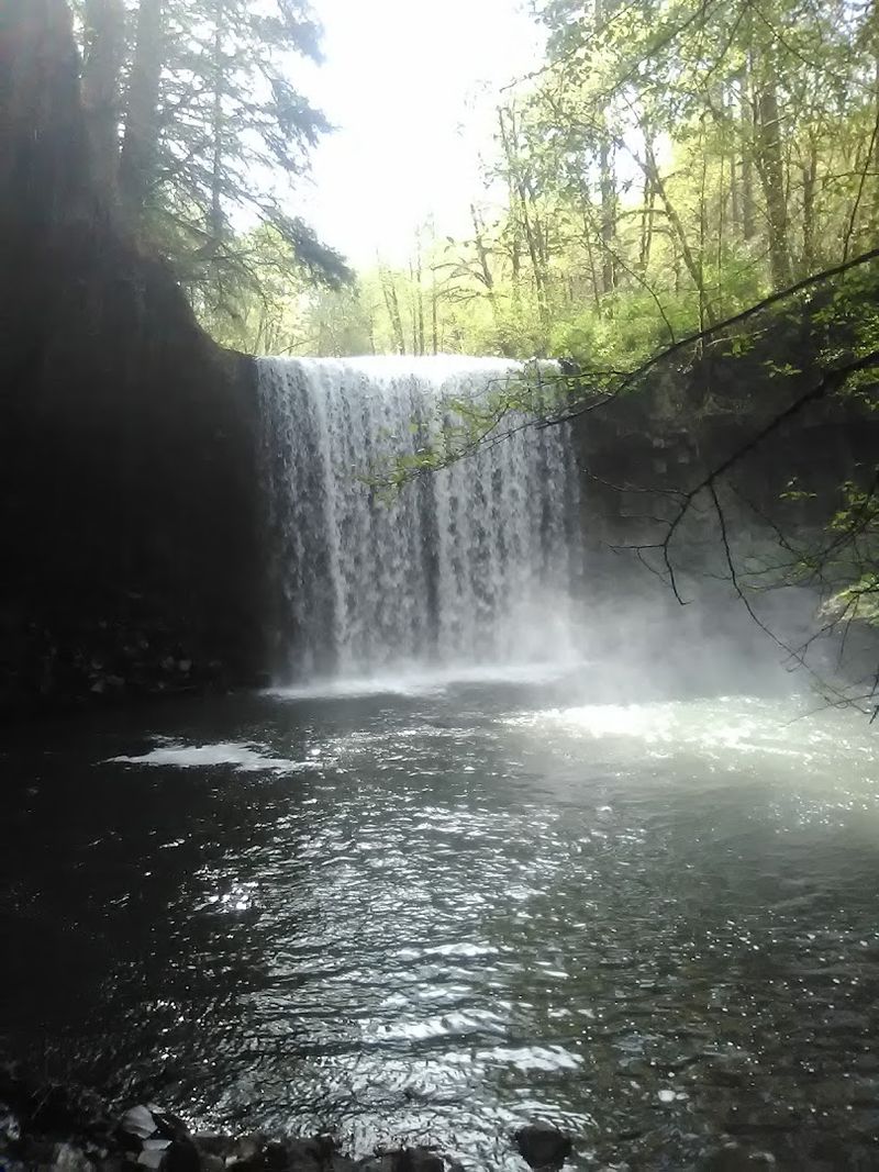 The Viewpoint and Water Access at the Falls