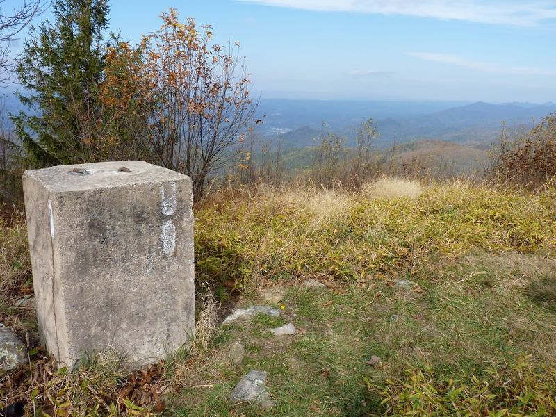 The Emotional Weight of the Memorial Plaque