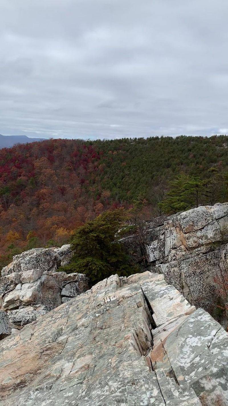 Seasonal Highlights: When to Visit for Maximum Drama