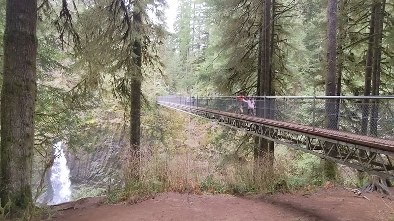 Family and Dog Friendly: Who This Hike Works For