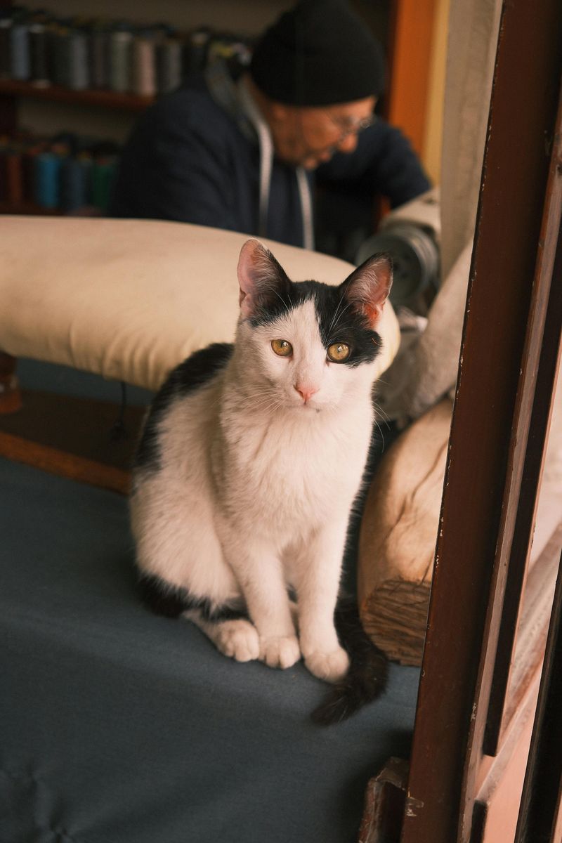 Why This Rule Fits The Way Delaware Shops And Lives