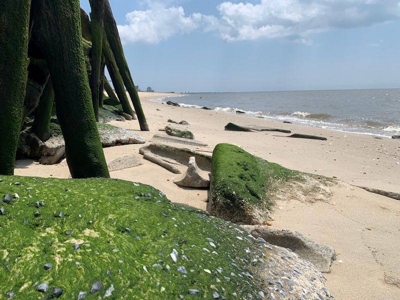 Sea Glass Hunting Like a Serious Treasure Seeker
